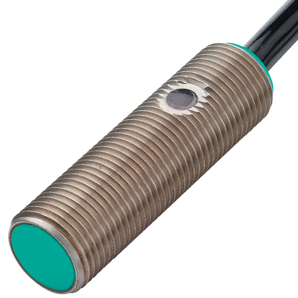 NJ2-12GM40-E2-5M | Pepperl+Fuchs Inductive Sensor