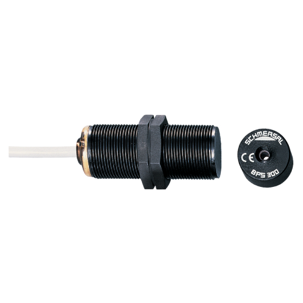 101137433 | Schmersal BNS 300-01ZG-2246 2,0M
